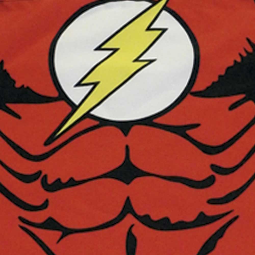 Delantal flash - Imagen 2