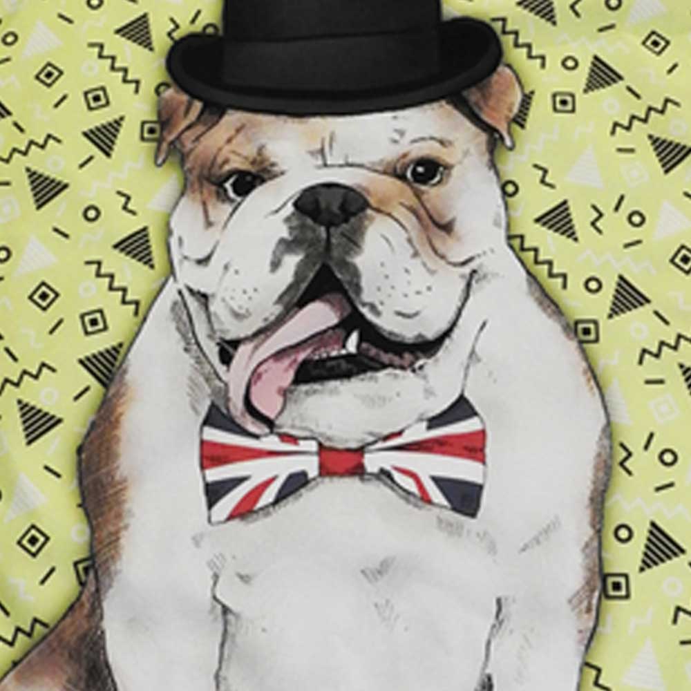 Foto del Delantal de un Bulldog Ingles donde se nota los detalles del estampado como el perro el gorro y el corbatin