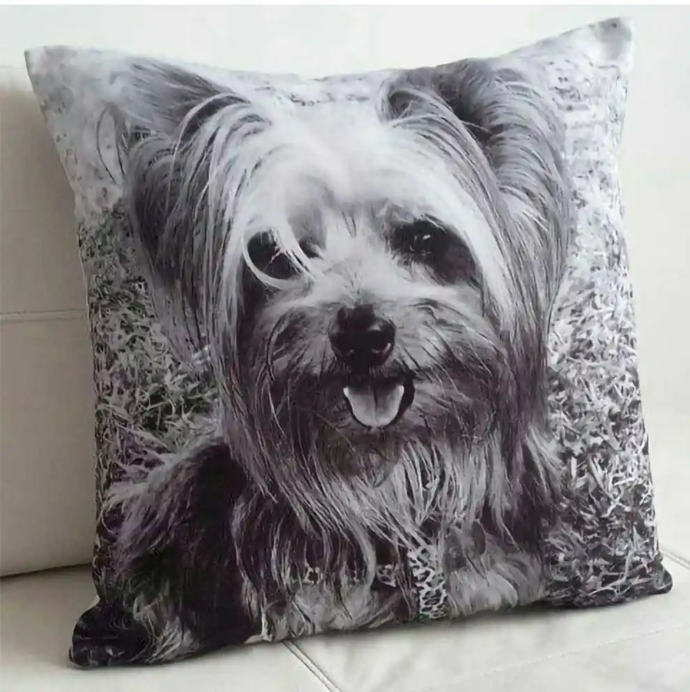 cojin con estampado personalizado