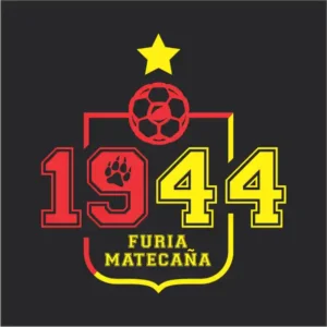 camisetaspereira26
